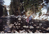 Click here to see the picture (303.jpg)